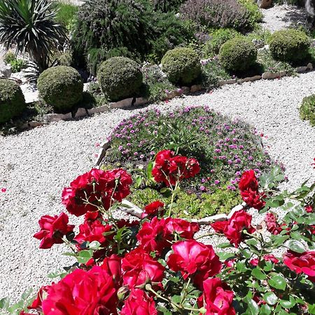 Apartment Pavica Novi Vinodolski Ngoại thất bức ảnh